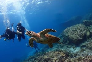 Phuket: Scopri le immersioni subacquee all'isola di Racha Yai