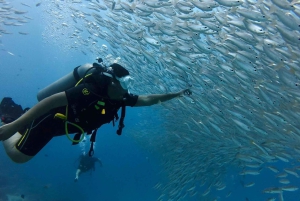 Phuket: Entdecken Sie das Tauchen auf der Insel Racha Yai