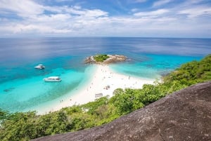 Phuket Dolfijn Zoektocht: Expeditie naar Racha & Maiton eiland