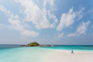 Phuket Dolfijn Zoektocht: Expeditie naar Racha & Maiton eiland