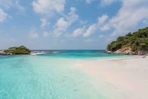 Phuket Dolfijn Zoektocht: Expeditie naar Racha & Maiton eiland