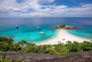 Phuket Dolfijn Zoektocht: Expeditie naar Racha & Maiton eiland