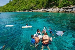 Phuket Dolphin Quest: Racha & Maiton Island Expedition
