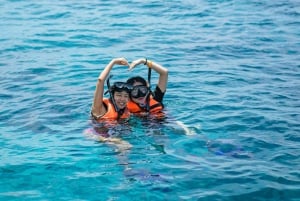 Phuket Dolphin Quest: экспедиция на острова Рача и Майтон