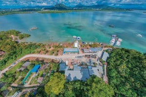 Phuket Dolphin Quest : Expédition sur l'île de Racha et Maiton