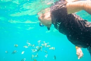 Phuket: Schnellboot nach Phi Phi, Bamboo, Schnorcheln & Mittagessen