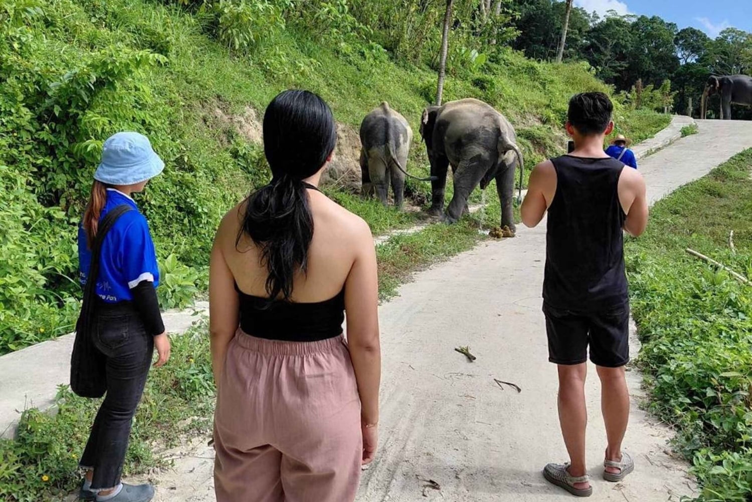 Phuket: ekologiczna wycieczka z przewodnikiem po sanktuarium słoni
