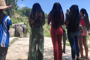 Phuket: ekologiczna wycieczka z przewodnikiem po sanktuarium słoni