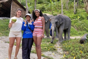 Phuket: ekologiczna wycieczka z przewodnikiem po sanktuarium słoni