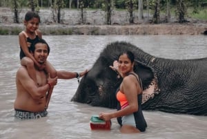 Phuket: Halvdags- eller 2-timers etisk elefantpleie i reservatet