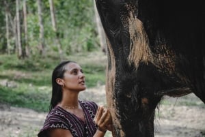 Phuket: Halvdag eller 2-timmars etisk elefantvård i fristad