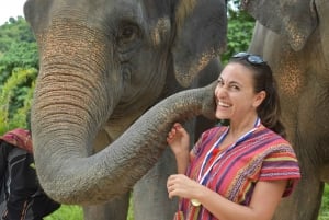 Phuket: Santuario ético de medio día o 2 horas para el cuidado de elefantes