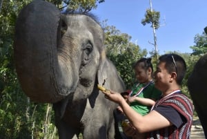 Phuket: Meio dia ou 2 horas no santuário de cuidados éticos com elefantes