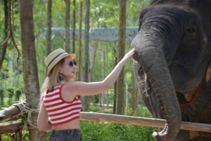 Phuket: Halvdags eller 2-timers etisk elefantpleje-reservat