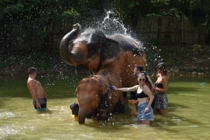 Phuket: Mezza giornata o 2 ore di visita al santuario etico degli elefanti