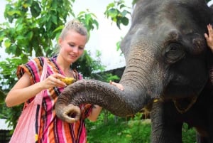 Phuket: Elefantin ruokintaohjelma