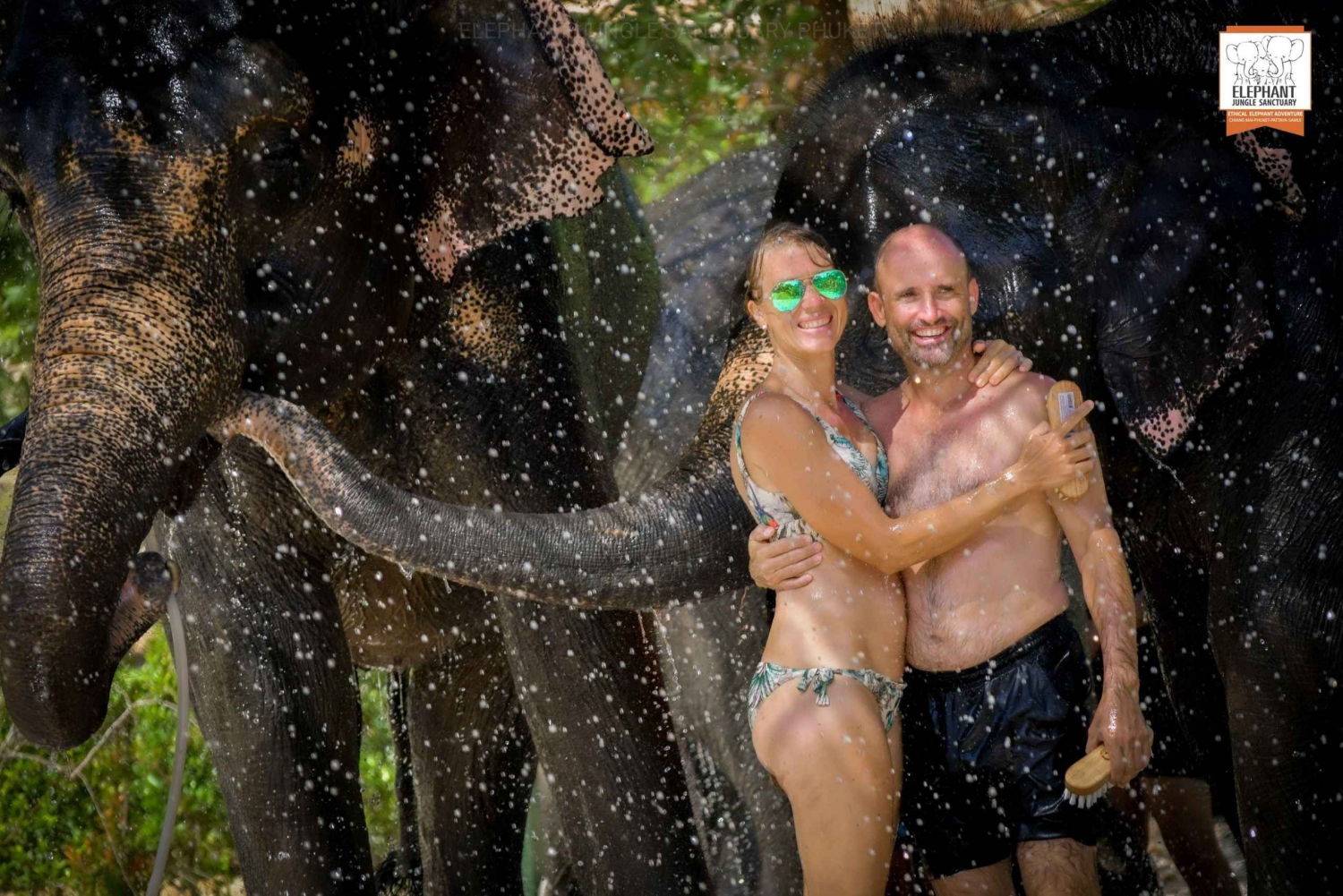 From Phuket: Elephant Jungle Sanctuary Feed and Shower Trip
