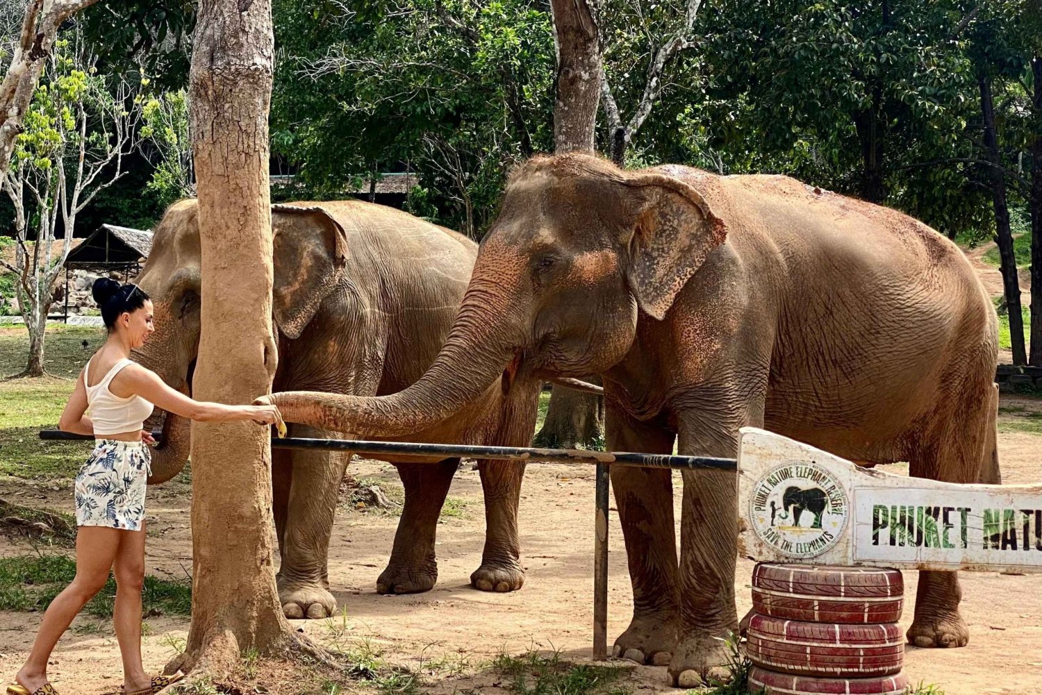 Phuket: Ingresso para a Reserva Natural dos Elefantes e tour guiado