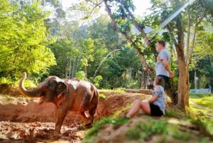 Phuket: Bilet wstępu do rezerwatu przyrody dla słoni i wycieczka z przewodnikiem