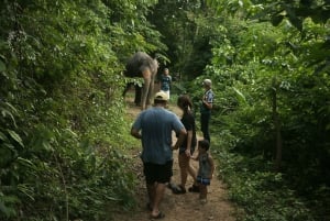 Phuket Elephant Nature Reserve - Aventura de meio dia com elefantes