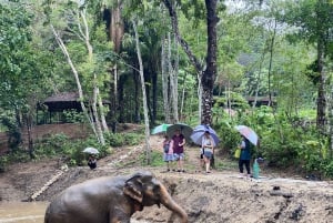 Phukets naturreservat för elefanter - halvdagsäventyr med elefanter