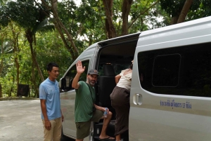 Phuket: Elefantenreservat, großer Buddha & Altstadt mit Fahrer