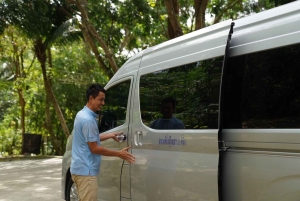 Phuket: Elefantenreservat, großer Buddha & Altstadt mit Fahrer