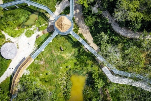 Phuket: Elefanten-Schutzgebiet Canopy Walkway Tour