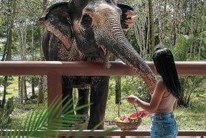 Phuket: Elefanten-Schutzgebiet Canopy Walkway Tour