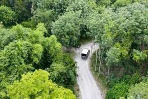 Phuket: Elefanten-Schutzgebiet Canopy Walkway Tour