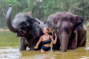 Phuket: Elephant Sanctuary - Füttern und Baden der sanften Giganten