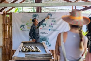 Phuket: Elephant Sanctuary - Füttern und Baden der sanften Giganten