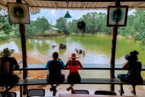 Phuket: Elephant Sanctuary - Füttern und Baden der sanften Giganten