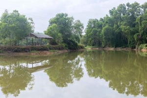 Phuket: Elephant Sanctuary - Füttern und Baden der sanften Giganten