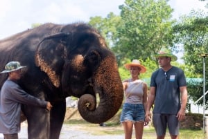 Phuket: Elephant Sanctuary - Füttern und Baden der sanften Giganten