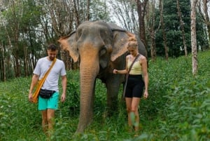 Phuket: Mała wycieczka grupowa do sanktuarium słoni w Khao Lak