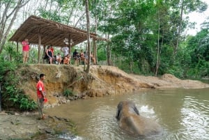 Phuket: Tour en grupo reducido al Santuario de Elefantes de Khao Lak