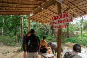 Phuket: Tour en grupo reducido al Santuario de Elefantes de Khao Lak