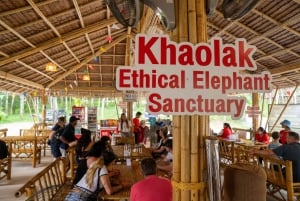 Phuket: Tour en grupo reducido al Santuario de Elefantes de Khao Lak