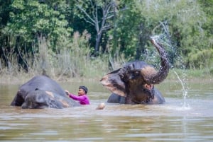 Phuket: Mała wycieczka grupowa do sanktuarium słoni
