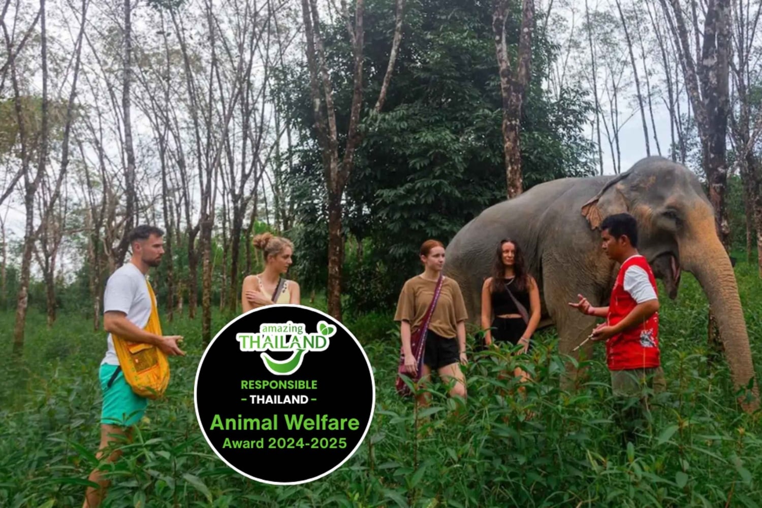 Пхукет: экскурсия по слоновьему заповеднику, кулинарный мастер-класс и обед