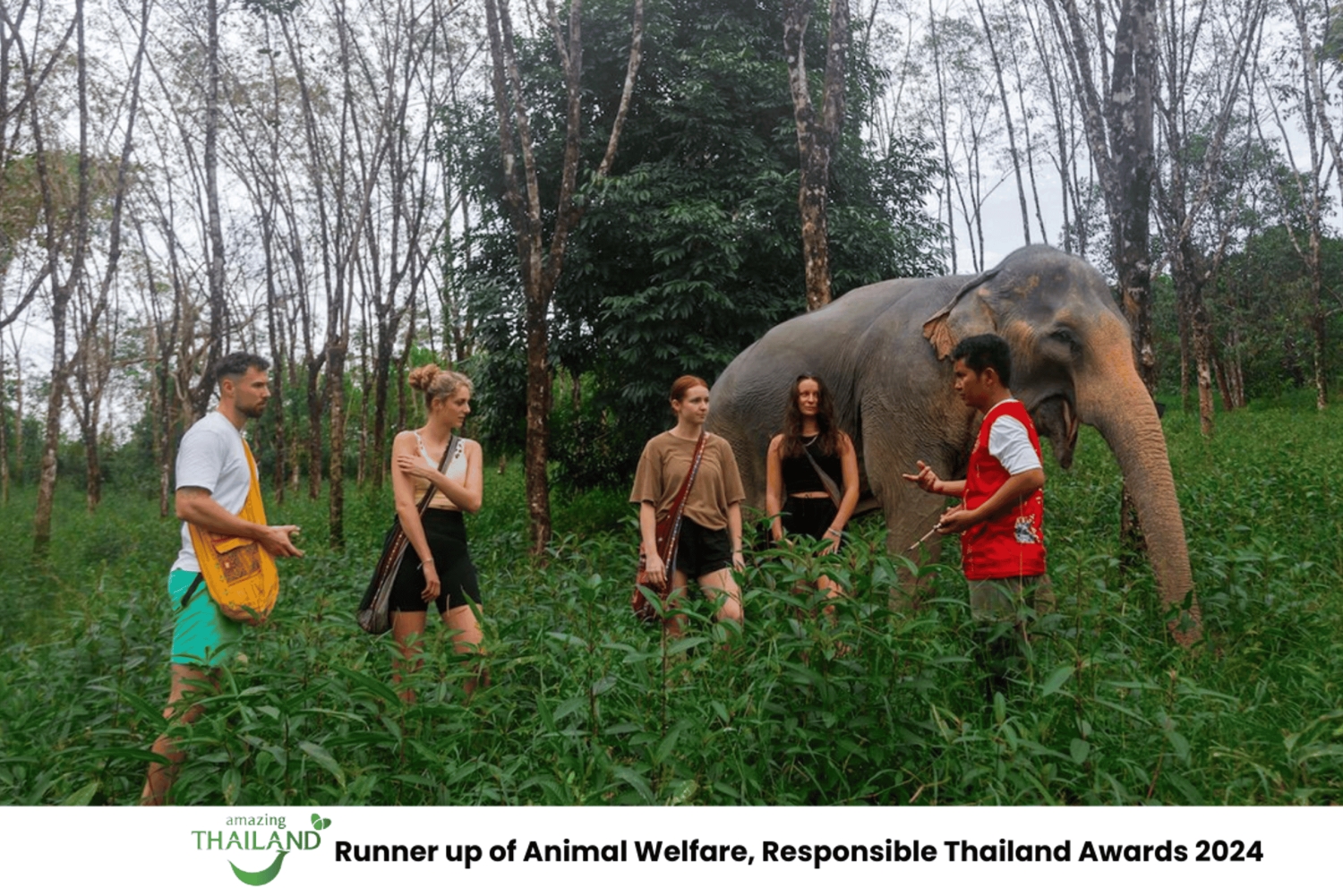 Пхукет: экскурсия по слоновьему заповеднику, кулинарный мастер-класс и обед