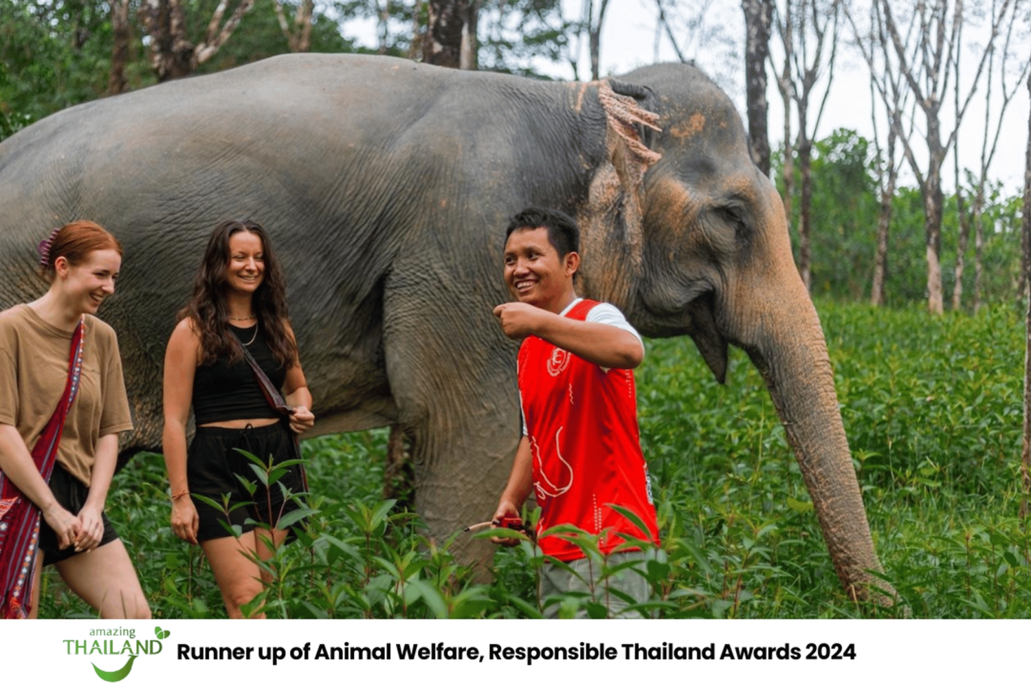 Пхукет: экскурсия по слоновьему заповеднику, кулинарный мастер-класс и обед