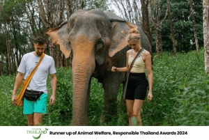 Пхукет: экскурсия по слоновьему заповеднику, кулинарный мастер-класс и обед