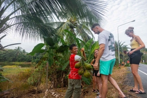 Пхукет: экскурсия по слоновьему заповеднику, кулинарный мастер-класс и обед