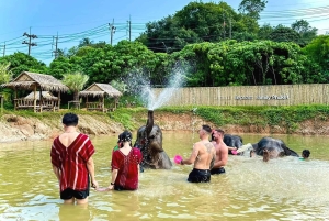 Phuket: bezoek aan olifantenreservaat met modderkuuroord en workshop