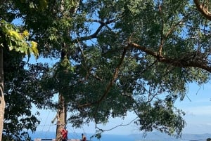 Phuket: Combinatie van olifantensanatorium en zipline-avontuur