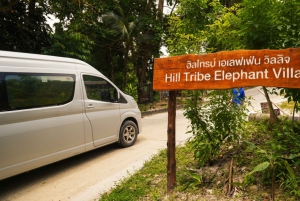 Phuket: Combinatie van olifantensanatorium en zipline-avontuur