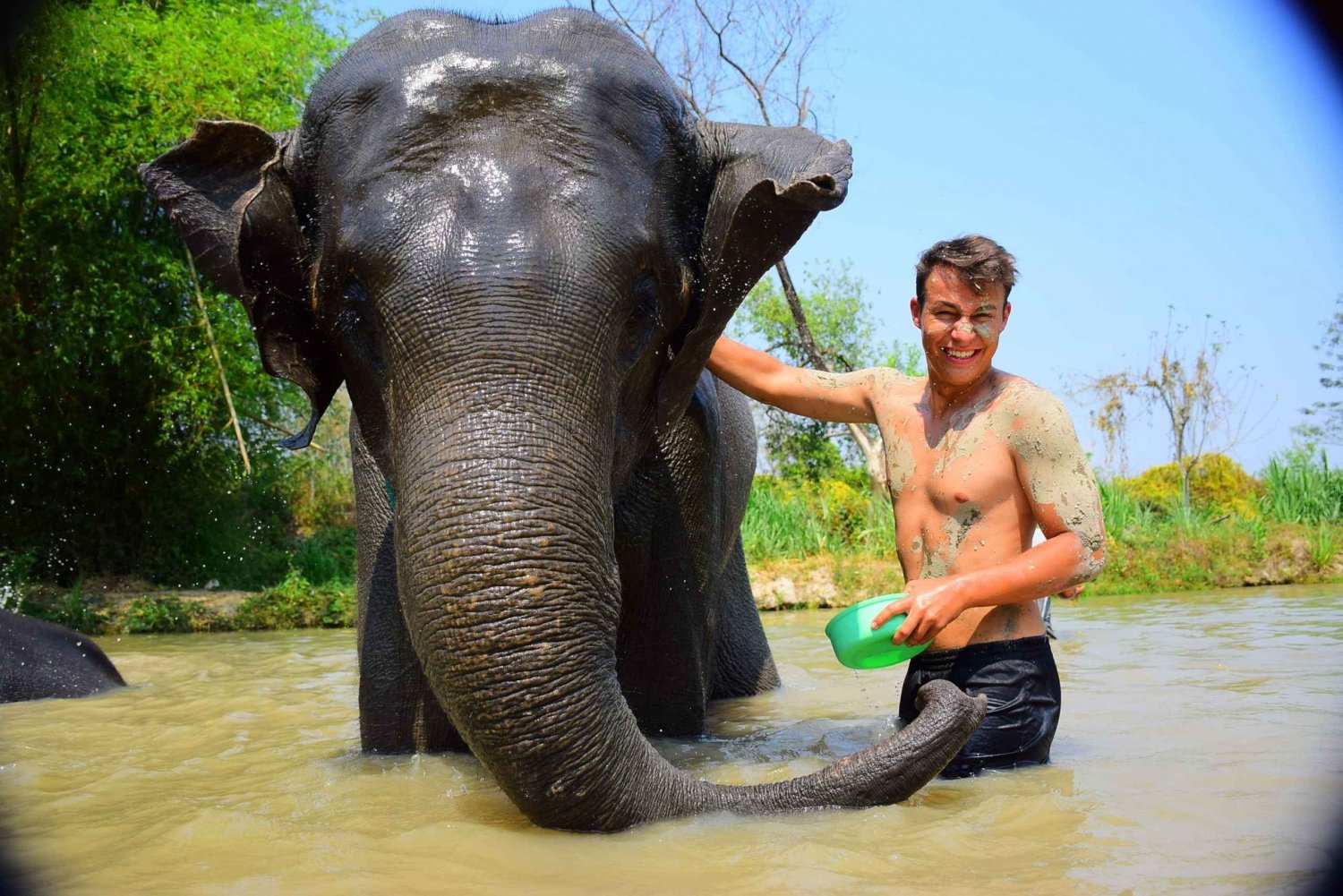 Phuket: Tur med elefantrednings- og plejeprogram