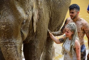 Phuket : Programme de sauvegarde et de soins des éléphants